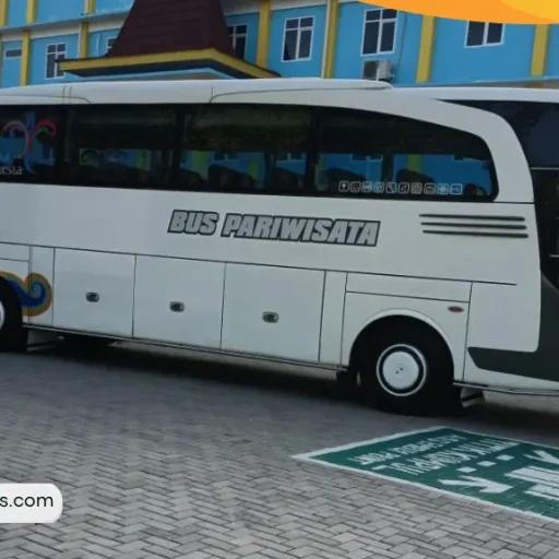 Sewa Bus Jogja Murah - Sewa Big Bus 50 Seat Jogja Murah - Nuswantoro Grup